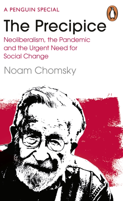 Book cover of The Precipice