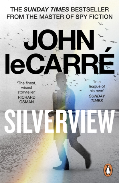 Book cover of Silverview