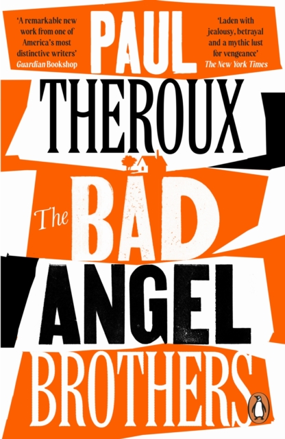 Book cover of The Bad Angel Brothers