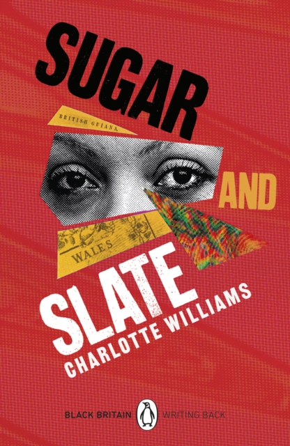 Book cover of Sugar and Slate