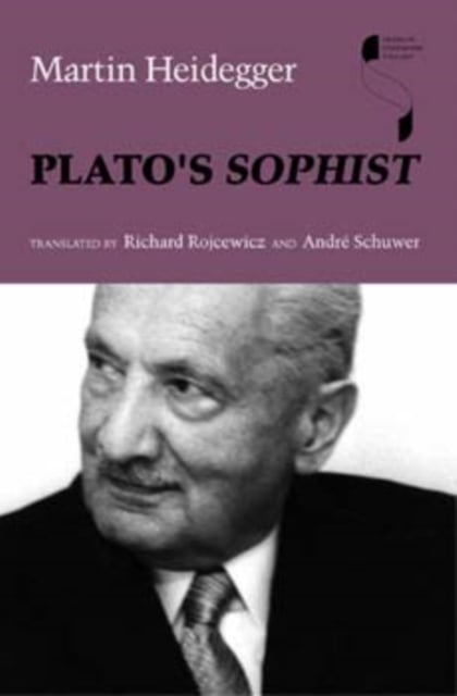 Book cover of Plato's Sophist