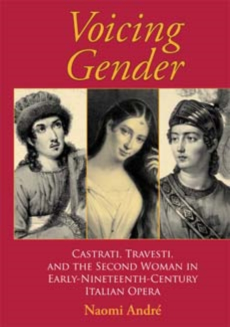 Book cover of Voicing Gender