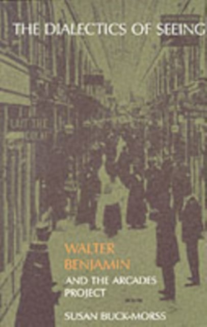 Book cover of The Dialectics of Seeing