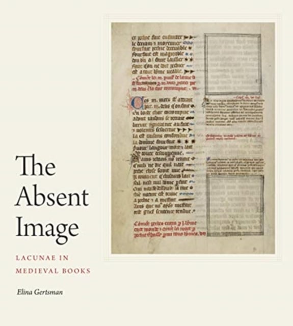 Book cover of The Absent Image