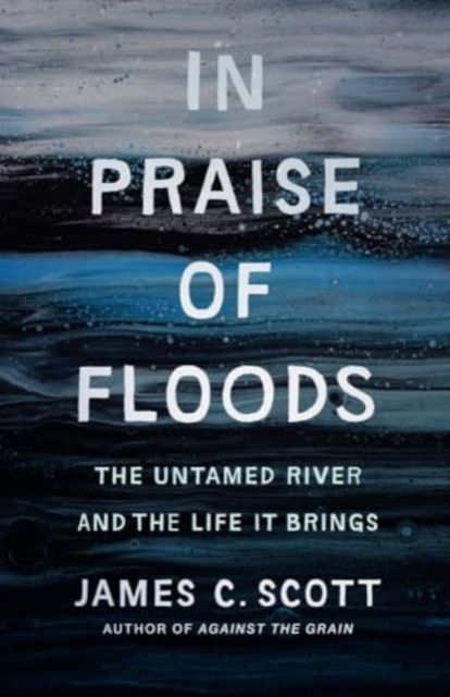 Book cover of In Praise of Floods