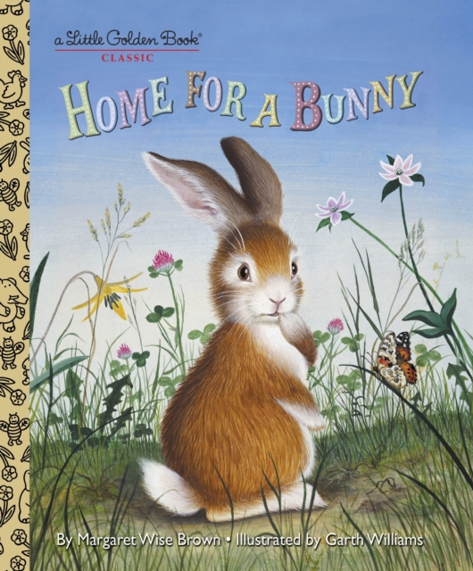 Book cover of Home for a Bunny