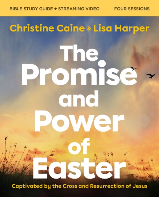 Book cover of The Promise and Power of Easter Bible Study Guide plus Streaming Video