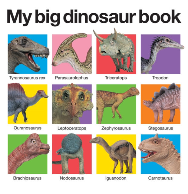 Book cover of My Big Dinosaur Book