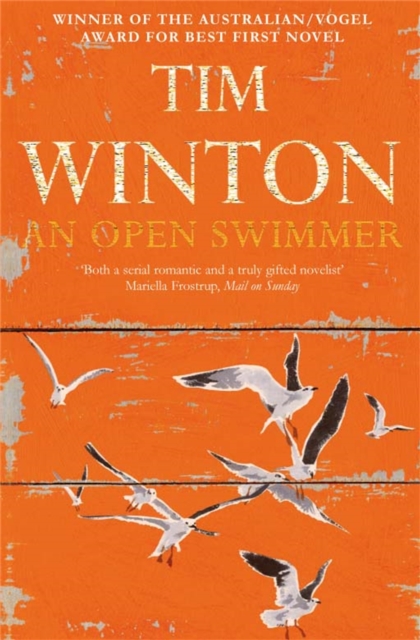 Book cover of An Open Swimmer