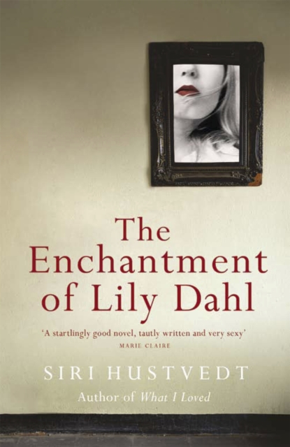 Book cover of The Enchantment of Lily Dahl