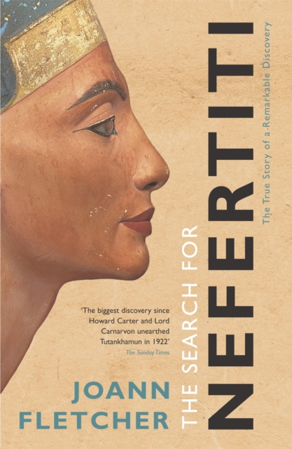 Book cover of The Search For Nefertiti
