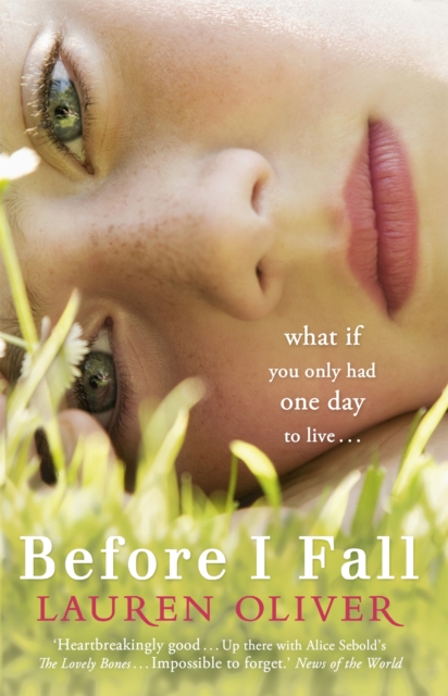 Book cover of Before I Fall