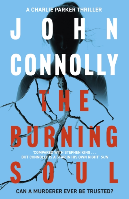 Book cover of The Burning Soul