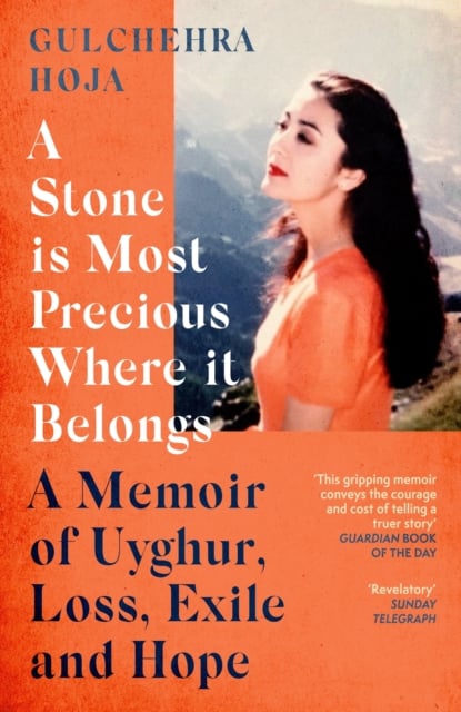 Book cover of A Stone is Most Precious Where It Belongs