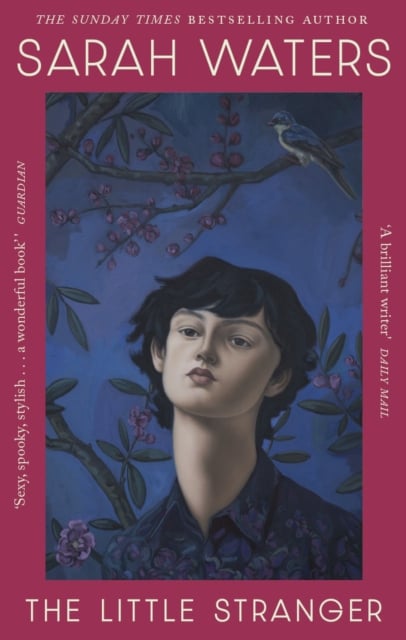 Book cover of The Little Stranger