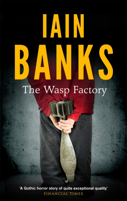 Book cover of The Wasp Factory