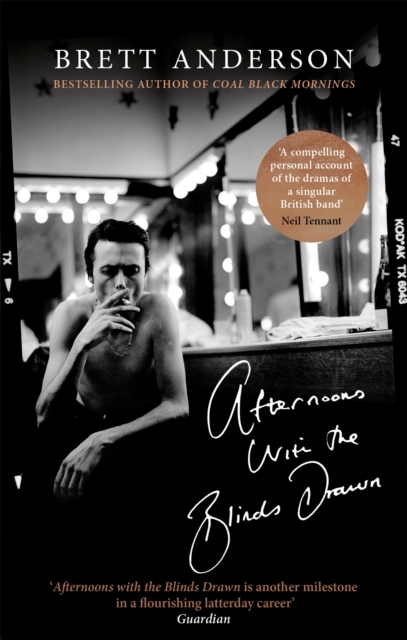 Book cover of Afternoons with the Blinds Drawn