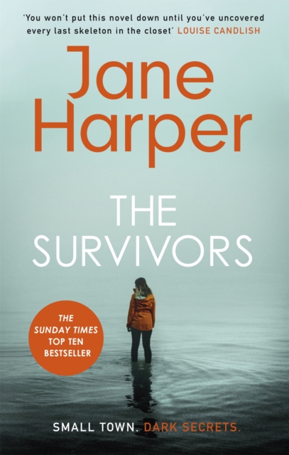 Book cover of The Survivors