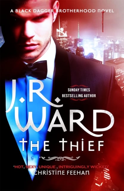 Book cover of The Thief