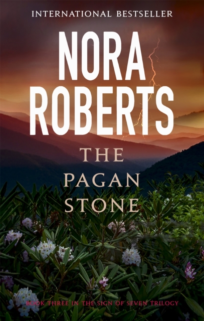 Book cover of The Pagan Stone