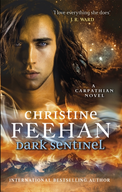 Book cover of Dark Sentinel
