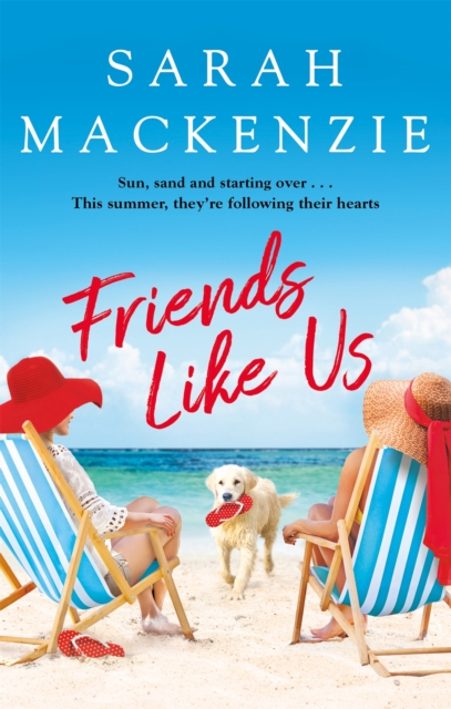 Book cover of Friends Like Us