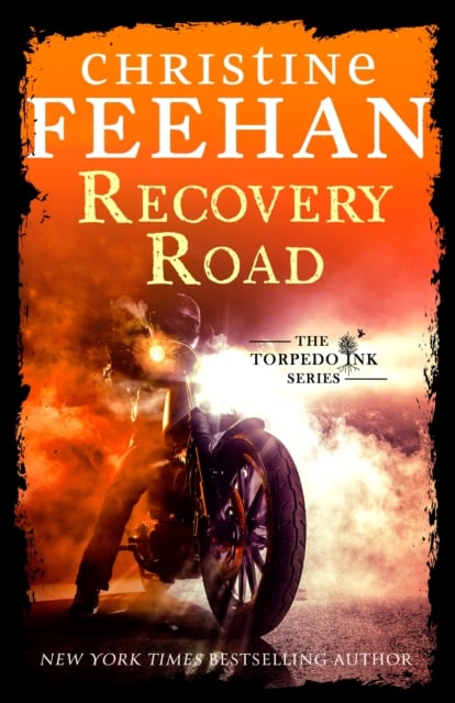 Book cover of Recovery Road