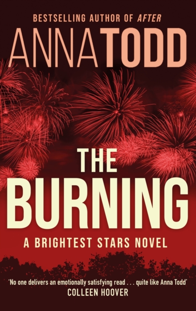 Book cover of The Burning