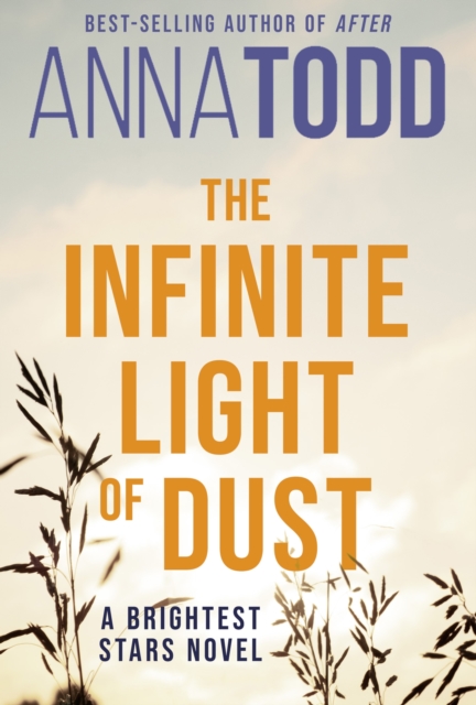 Book cover of The Infinite Light of Dust