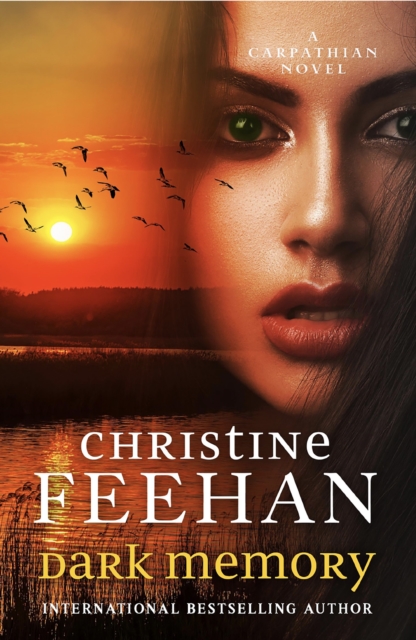 Book cover of Dark Memory