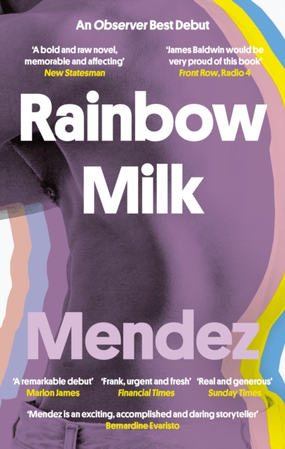 Book cover of Rainbow Milk