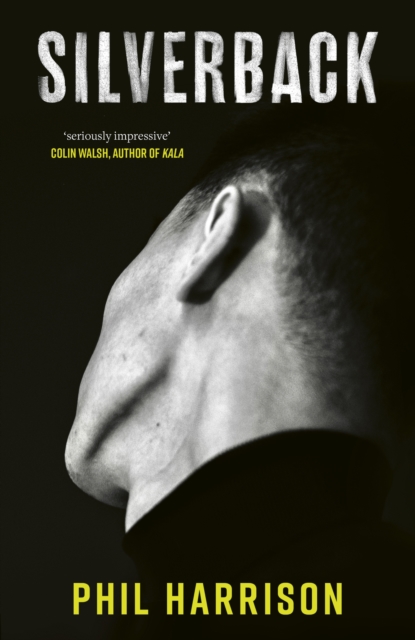 Book cover of Silverback