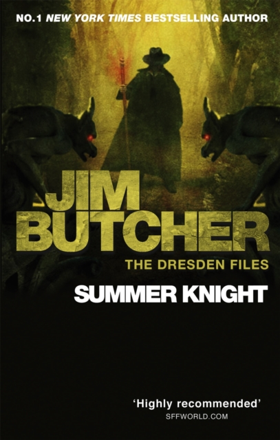 Book cover of Summer Knight