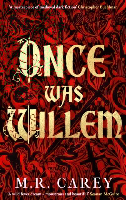 Book cover of Once Was Willem