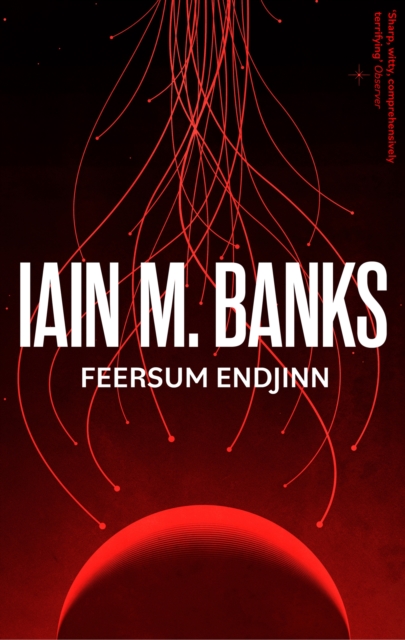 Book cover of Feersum Endjinn