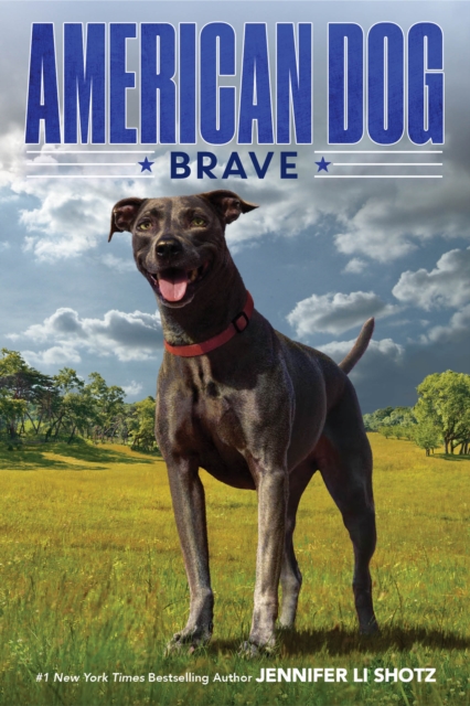 Book cover of Brave