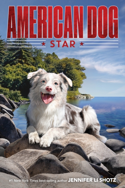 Book cover of Star