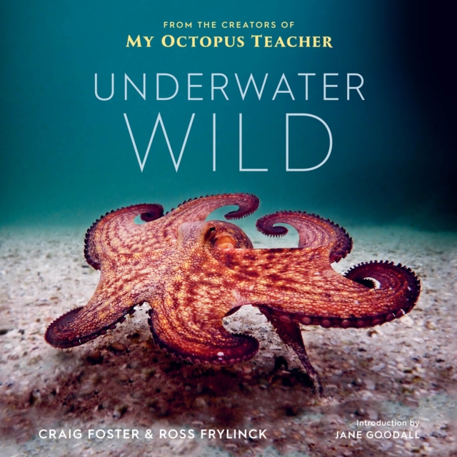 Book cover of Underwater Wild