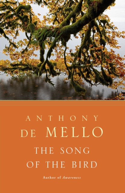 Book cover of The Song of the Bird