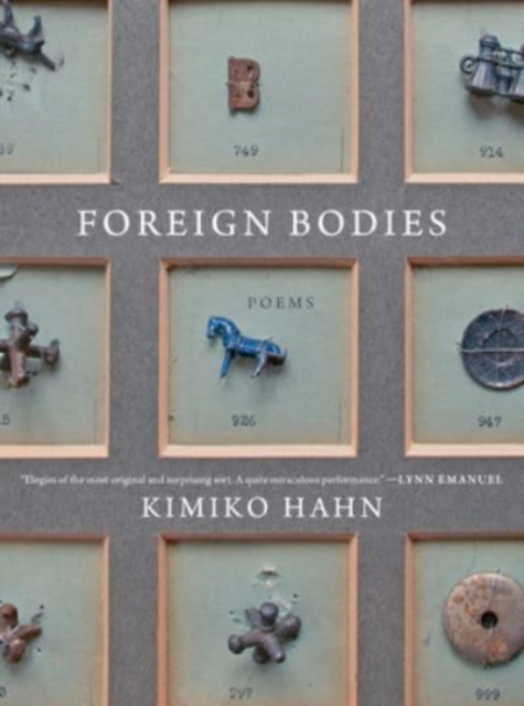 Book cover of Foreign Bodies