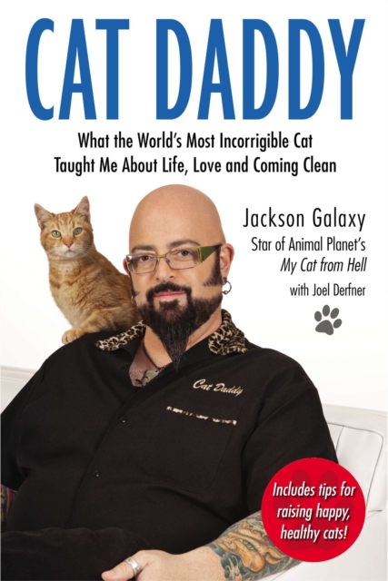 Book cover of Cat Daddy