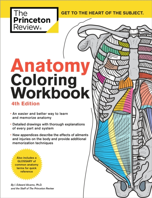 Book cover of Anatomy Coloring Workbook, 4th Edition