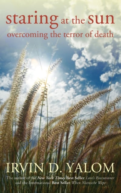 Book cover of Staring at the Sun