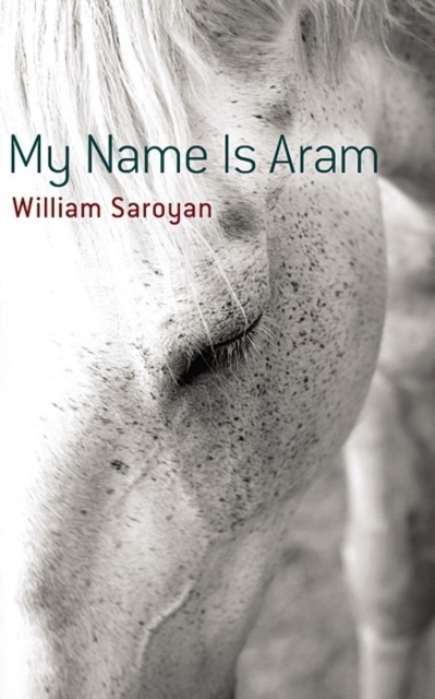 Book cover of My Name is ARAM