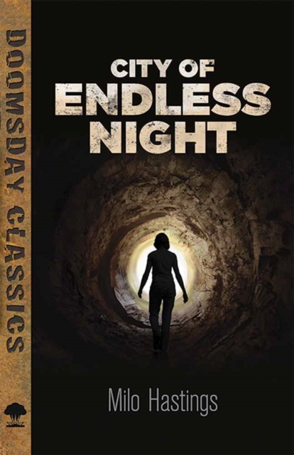 Book cover of City of Endless Night