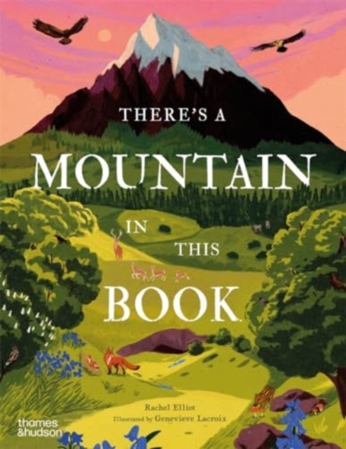 Book cover of There's a Mountain in This Book