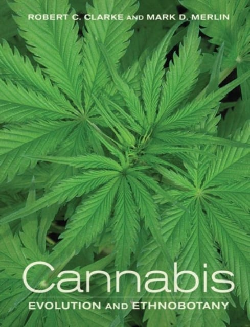 Book cover of Cannabis