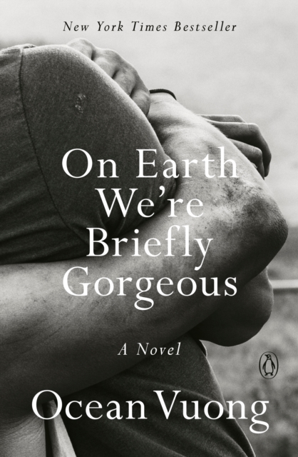 Book cover of On Earth We're Briefly Gorgeous