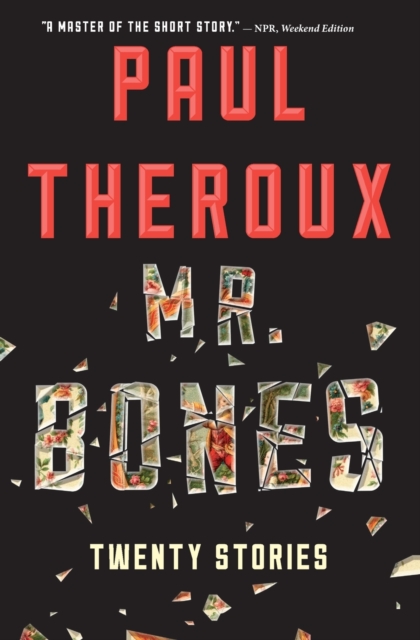 Book cover of Mr. Bones