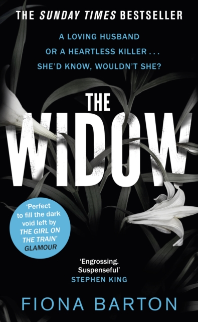 Book cover of The Widow
